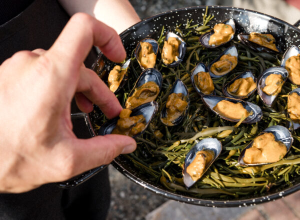 Coconut curried mussels. Photo by Michael Tallman